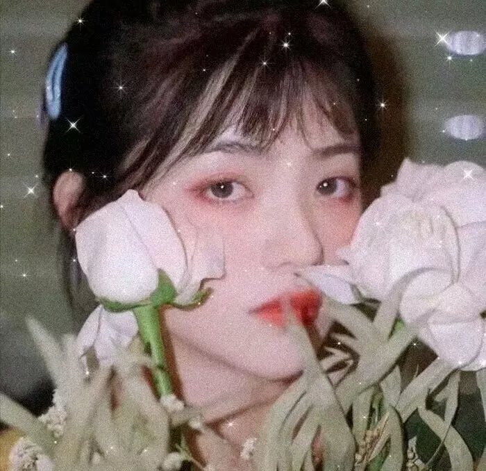 侍卿衣
